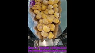 2287 J125 Döner Torba Beslemeli Kestane Dolum ve Kapama Makinası