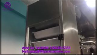 2284 J122 Dikey Film Sarma Torba Yapımı Arka Sızdırmazlık Dondurulmuş Mantı Paketleme Makinası