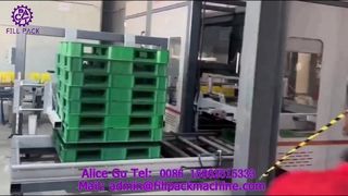2307 P42 Karton Paketleme Portal Paletleme Üretim Hattı
