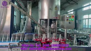 2217 J118 Otomatik 4 Kafalı Alüminyum Kapak Kapatma Makinası