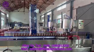 2216 J118 Taç Kapak Otomatik 6 Kafa Kapatma Makinası