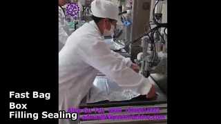 2108 L14 Yarı Otomatik Tek Kafalı Poşet Dolum ve Kapatma Makinası