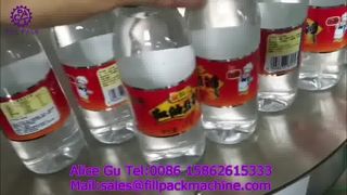 2267 M31 Basit Hot Melt Etiketleme Makinası