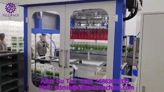 2235 P15 Çift Kafalı Tutuculu Otomatik Koli Paketleme Makinası